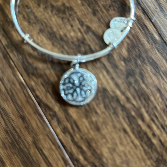 ALEX AND ANI Path Of Life Bracelet - Never Worn - Picture 2 of 3